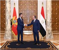 الرئيس السيسي: مصر حريصة على فتح آفاق جديدة للتعاون الاقتصادي مع الجبل الأسود