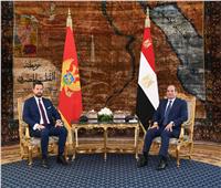 الرئيس السيسي يجدد رفض تهجير الفلسطينيين ويؤكد ضرورة إعادة إعمار غزة