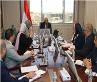 وزير الكهرباء يبحث مع محافظ الوادي الجديد تعزيز الطاقات المتجددة وتأمين التغذية الكهربائية