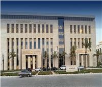 برلماني يطالب بوضع خطة لجذب الطلاب العرب وإنهاء معاناة أبناء المصريين بالخارج