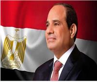 الرئيس السيسي: ثورة 23 يوليو ستظل علامة فارقة في تاريخ الوطن