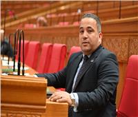 هاني شحاتة: الجمهورية الجديدة امتداد لأهداف ثورة 23 يوليو