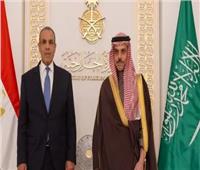 وزير الخارجية يبحث مع نظيره السعودي جهود خفض التصعيد في المنطقة