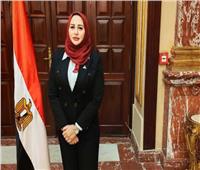 عضو بالشيوخ تقترح استبدال مسمى «ربة منزل» ببطاقة الرقم القومي بـ«صانعة جيل»