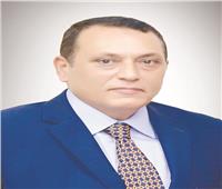 الرقمنة تدخل الريف المصرى عبد الوهاب: زيادة معدلات الاستصلاح واستكمال البنية الأساسية