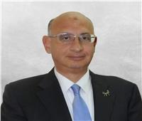 الدكتور خالد محمود مساعدًا لوزير الثقافة للتحول الرقمي