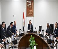 رئيس الوزراء يستعرض الرؤية المقترحة لتطوير زراعة وصناعة الكتان في مصر 