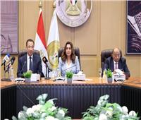 إطلاق خدمة «تراخيص المحال العامة» عبر منصة مصر الرقمية.. تفاصيل