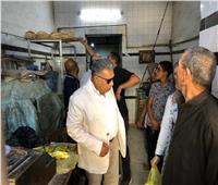    محافظ الدقهلية في جولة مفاجئة على مخابز المنصورة