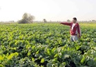 «الزراعة» بدء مسابقة إختيار أفضل جمعيات تعاونية بالمحافظات