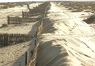 مواجهة التغيرات المناخية بـ«الطين والبوص والرمال»