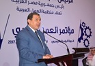 سعفان: مصر قادرة على حماية الأمة العربية من الإرهاب الغادر