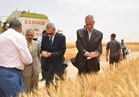 محمافظ قنا يشهد حصاد القمح ضمن مشروع استصلاح 1.5 مليون فدان 