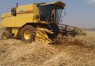 "الزراعة" تعلن بدء موسم حصاد القمح بالمحافظات 