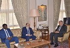 وزير الخارجية يبحث القضايا العربية مع وفد من أعضاء البرلمان العربي