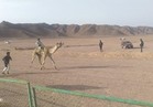 شمال سيناء تحتفل بعيدها القومي بـ50 مشروعا جديدًا