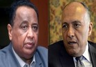 برئاسة وزيري الخارجية ..لجنه التشاور مع السودان تعقد اجتماعها »الخميس«