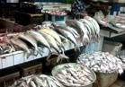 ننشر أسعار الأسماك في سوق العبور 