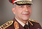 قائد القيادة الإفريقية الأمريكية يشيد بالدور المصري في ليبيا 