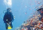 توقف رحلات الغوص والصيد في البحر الأحمر بسبب سوء الأحوال الجوية