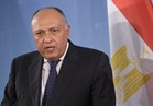 شكري لمندوبي اليونسكو: مصر تقف بثقلها الحضاري والثقافي خلف مشيرة خطاب