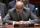 مصر: إعادة إعمار سوريا لن يتحقق إلا بدعم من المجتمع الدولي