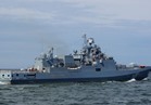 الفرقاطة »جريجوروفتش« تنضم للقوات الروسية على سواحل سوريا بالبحر المتوسط