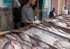 نرصد أسعار الأسماك بسوق العبور..والبلطي يسجل 26 جنيها