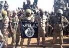 مقتل 5 خبراء نفط على يد مسلحين جماعة «بوكو حرام» في نيجيريا