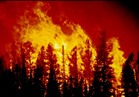 حرائق غابات في غرب كندا تدفع السلطات لإجلاء الآلاف