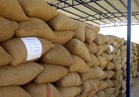 «الزراعة» تنتظر قرار مجلس الوزراء بعد حكم قضائي حول «الإرجوت»