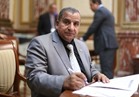    برلماني يطالب باستدعاء وزير الداخلية بسبب حبيب العادلي