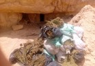 ضبط 3 تكفيريين وتدمير 10 أفدنة «بانجو» بوسط سيناء