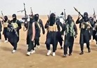 5 يونيو.. مرافعة دفاع متهمي "مركز تدريب داعش" أمام القضاء العسكري
