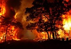 إجلاء الآلاف من منازلهم بسبب حرائق الغابات بشرق كوريا الجنوبية