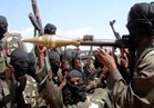 نيجيريا تكثف القتال ضد بوكو حرام