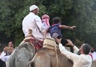 ركوب الجمال والأحصنة ..متعة احتفال أطفال الوادي الجديد في العيد 