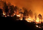 حاكم كاليفورنيا يطالب ترامب بإعلان الطوارئ بسبب حرائق الغابات