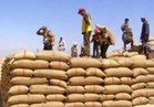 التموين: احتياطي القمح 4.6 مليون طن ويكفي الاستهلاك لنحو 6 أشهر