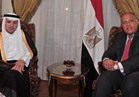 شكري والجبير يبحثان جهود مصر والسعودية في مكافحة الإرهاب