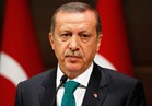 إردوغان: قرار أمريكا تعليق خدمات التأشيرات "مزعج"