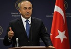 وزير خارجية تركيا: ألمانيا تسمح للإرهابيين بالنشاط فوق أراضيها