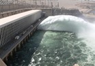 الحكومة: انخفاض منسوب بحيرة ناصر طبيعي.. والسد العالي يستقبل بشائر الفيضان الجديد 