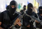 عاجل| مصرع 2 من كوادر «حسم» الإرهابية بأكتوبر