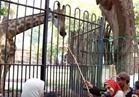 بالفيديو| حديقة الحيوان..لعب وضحك وعلم وثقافة