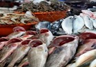 نرصد أسعار الأسماك في سوق العبور
