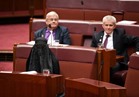 بالصور.. نائبة استرالية ترتدي البرقع في البرلمان