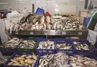 نرصد أسعار الأسماك في سوق العبور بعيد الأضحي