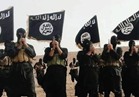 المرصد السوري: عناصر من "داعش" فضلوا الانتحار على تسليم أنفسهم