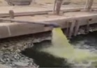 فيديو..مزارع سمكية تتغذى على مياه الصرف الصحي بأسوان